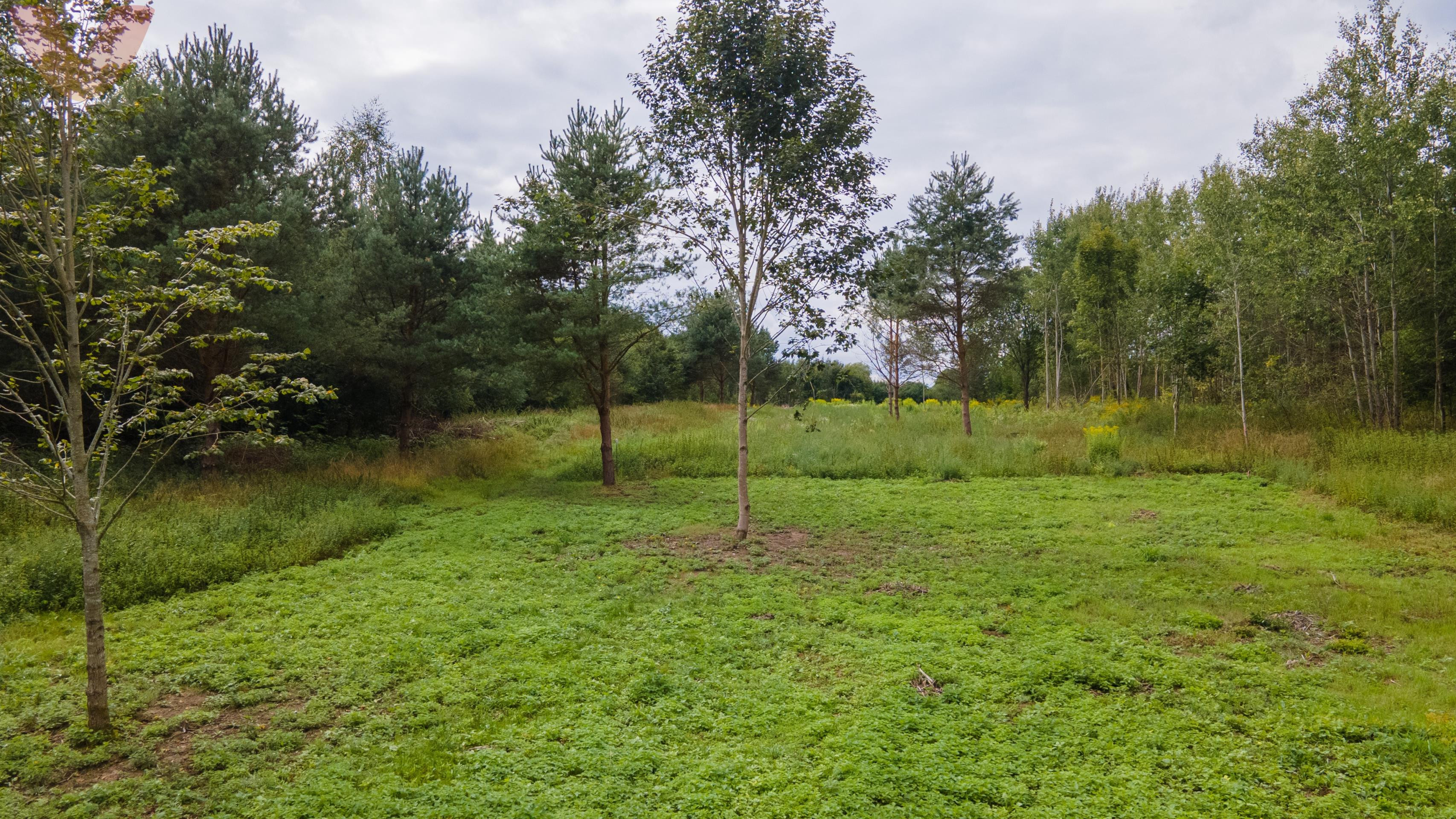 Elgnówko -Blisko do jeziora-1744 m2 z WZ na Dom Jednorodzinny