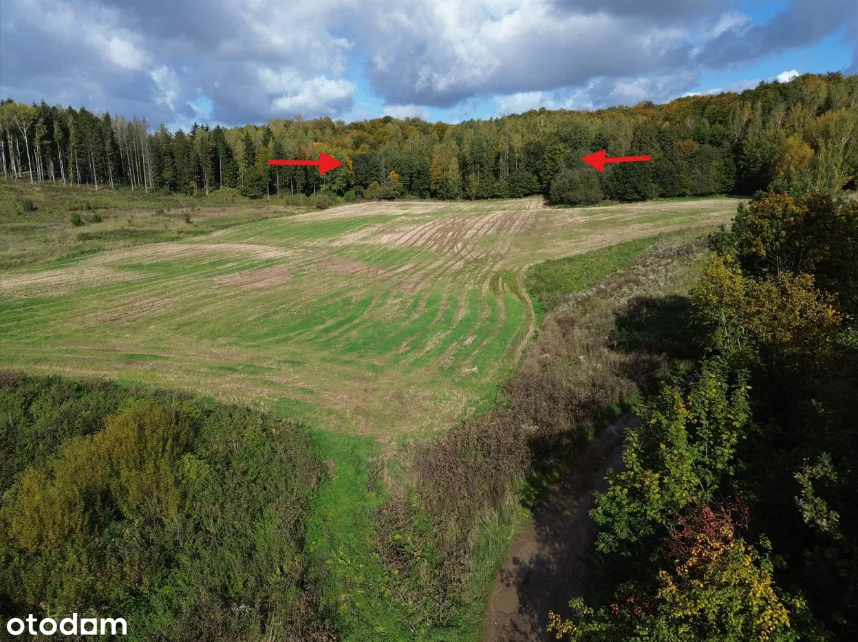 Biesowo Gm Biskupiec