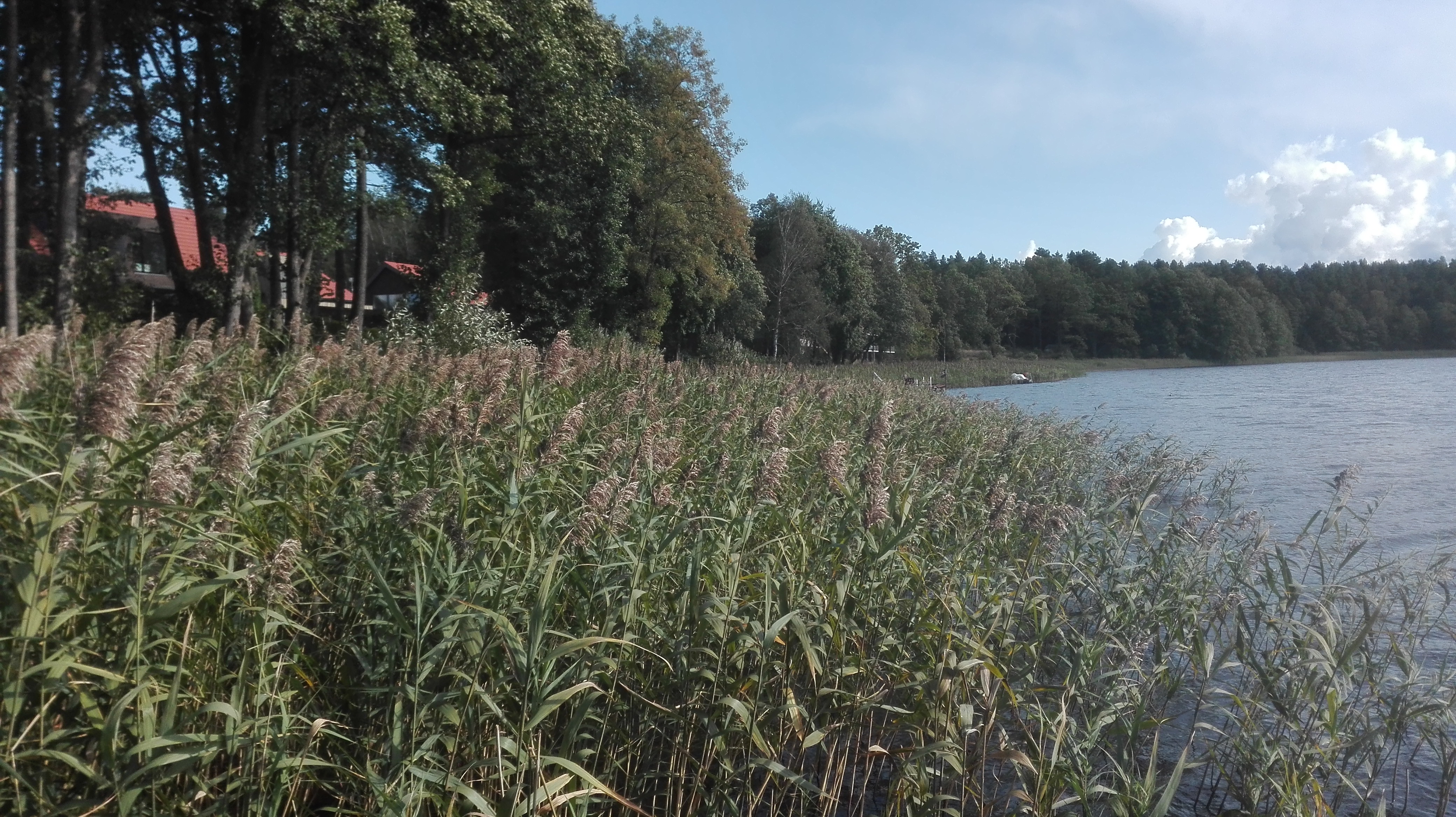 Łodwigowo gm Grunwald- udział 1/2 w działce 7600 m2