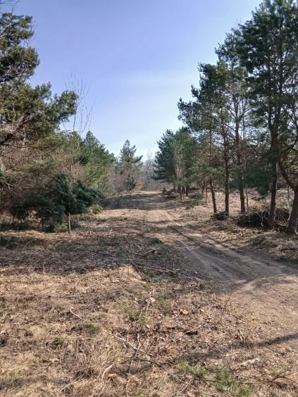 Elgnówko -Blisko do jeziora-1744 m2 z WZ na Dom Jednorodzinny