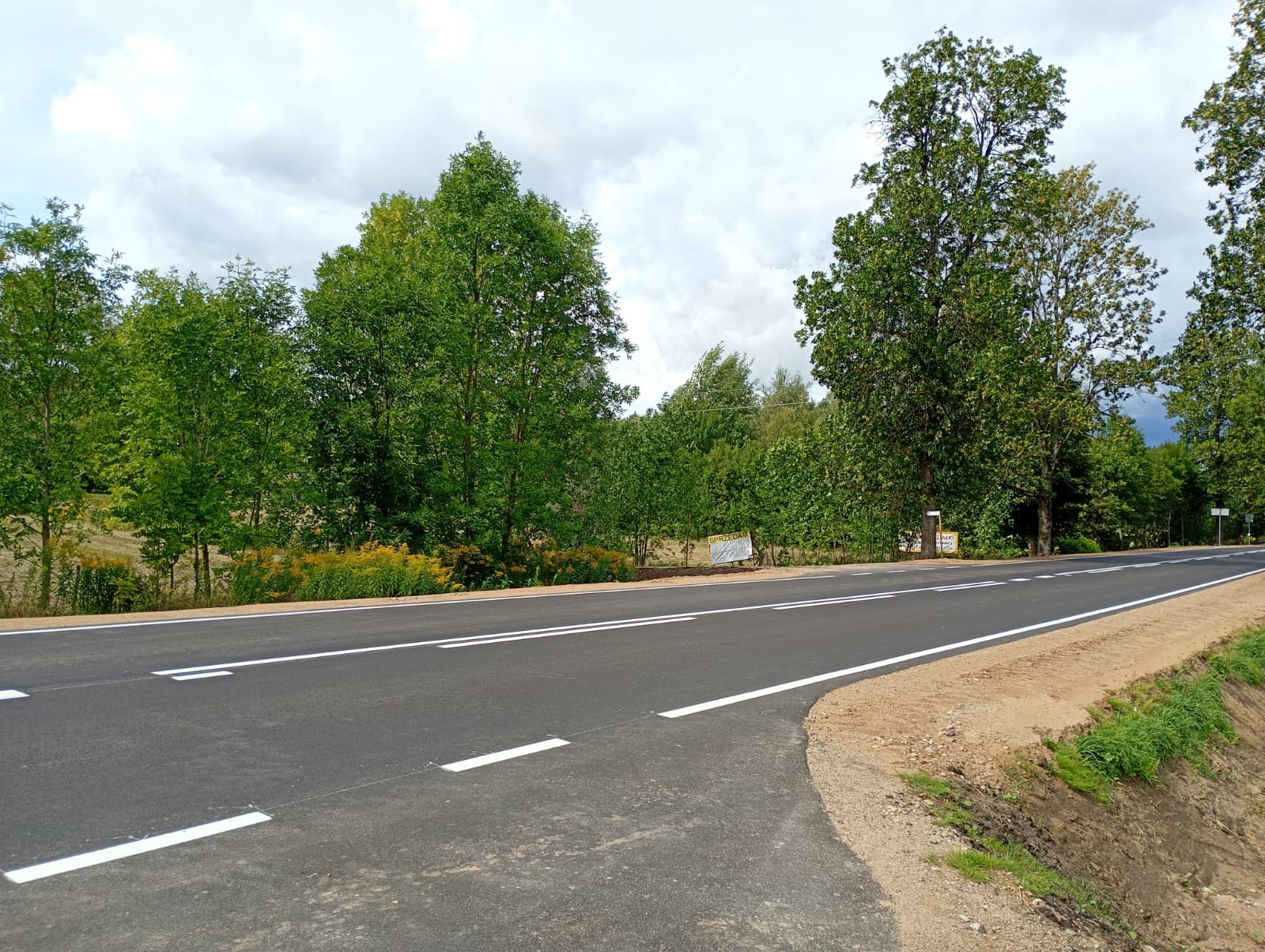 5 x 3300m2 działki w parku